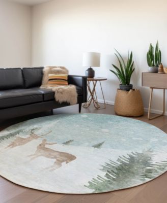 Holiday Washable Indoor/Outdoor ACN1821 8'x8' Round Area Rug