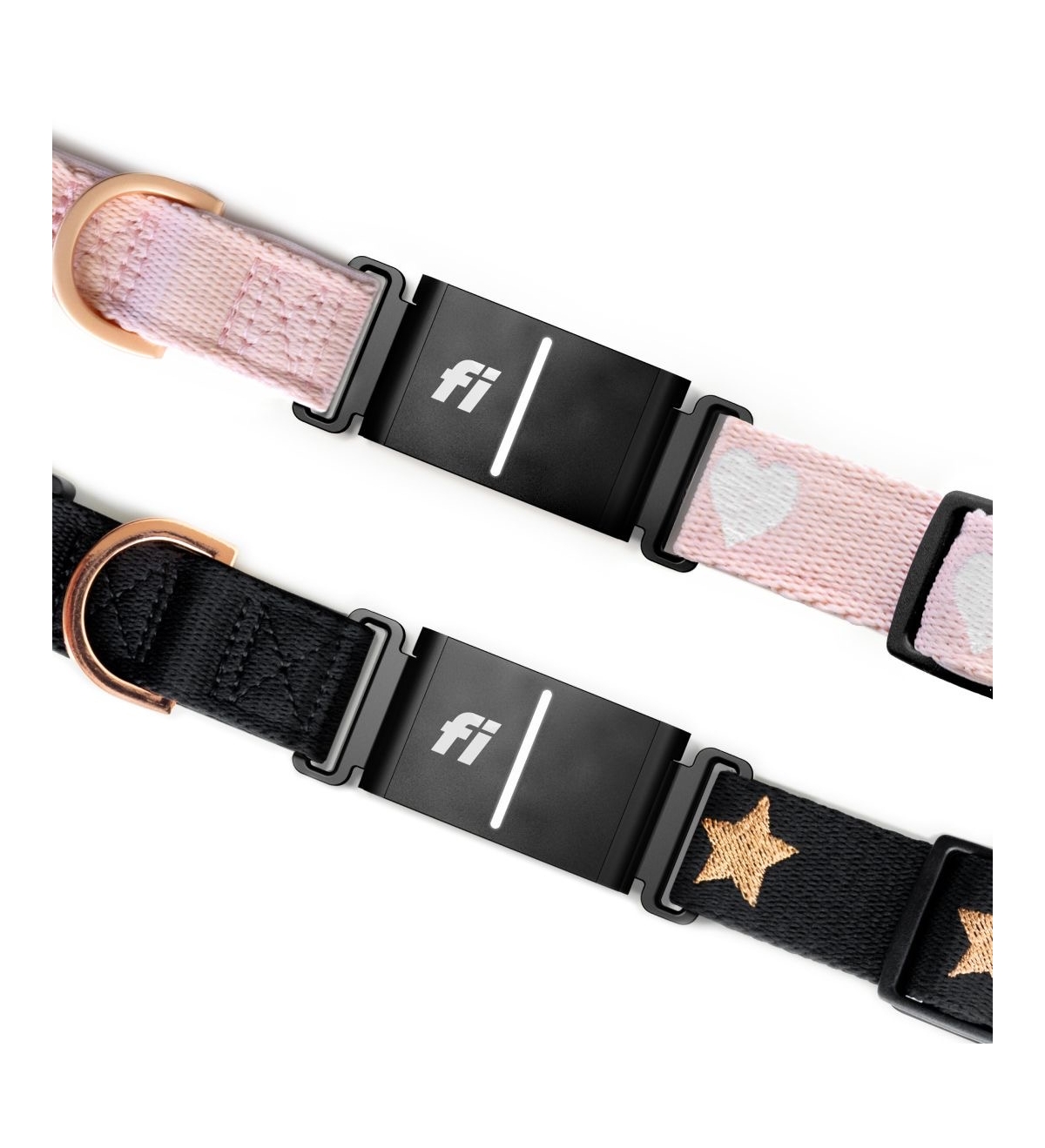 The Dogistry x Fi Rockstar Collar