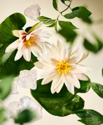 3-Pc. Pure Grace Eau de Toilette Fragrance Gift Set