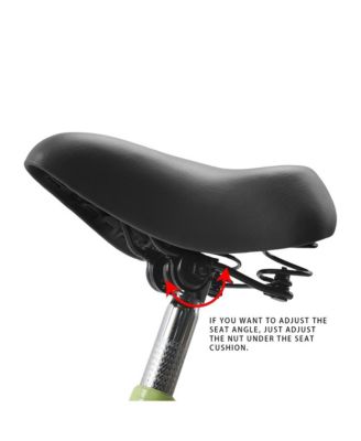 Tricycle for Ladies and Teens with Oversized Front Basket for Pets and Picnic Gear