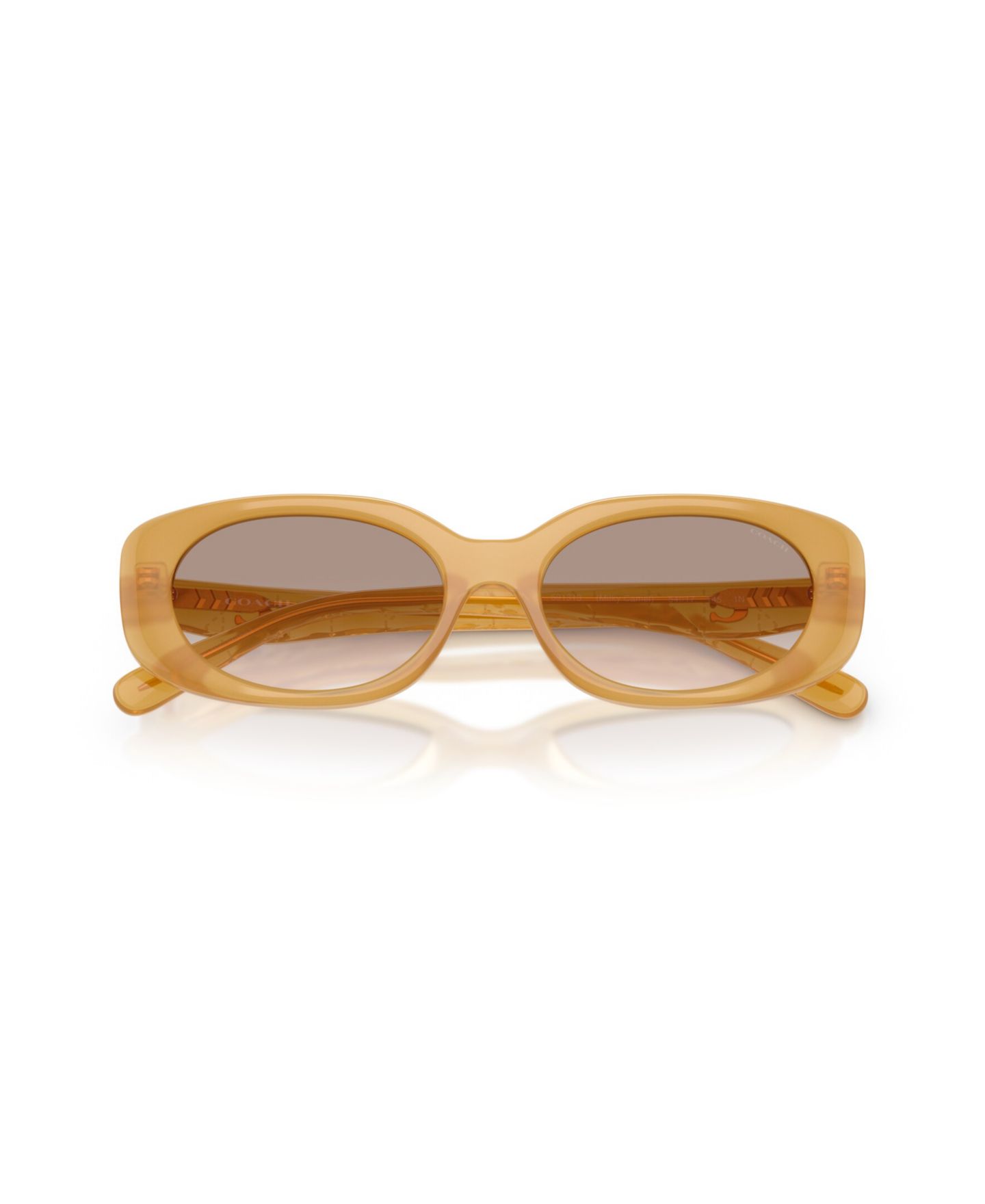 Женские солнцезащитные очки COACH Oval Sunglasses, CBY84 HC8443D, цвет: Чёрный — фото 20