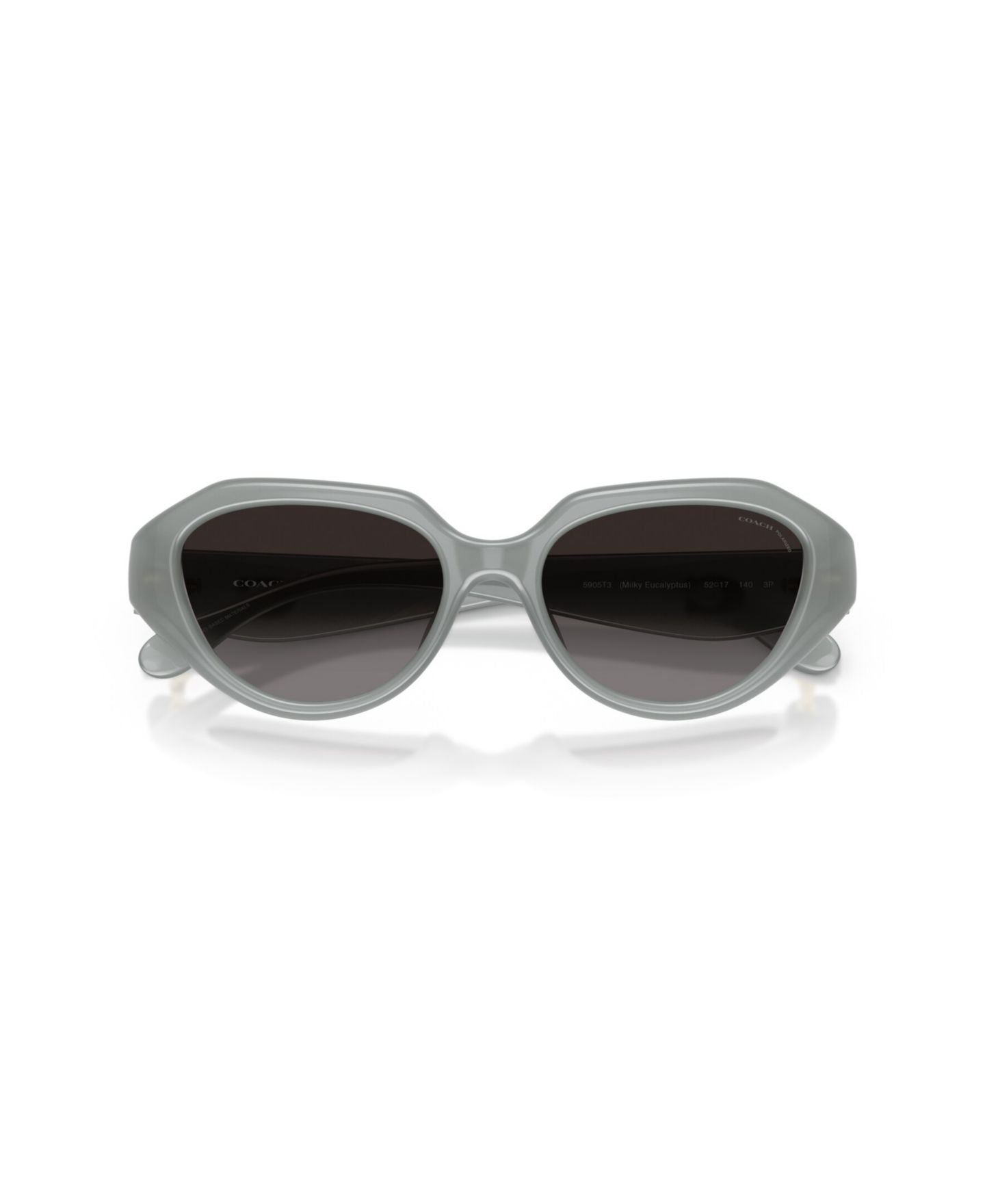 Женские солнцезащитные очки Coach Polarized, CBY77 HC8433U, цвет: Milky Eucalyptus — фото 10