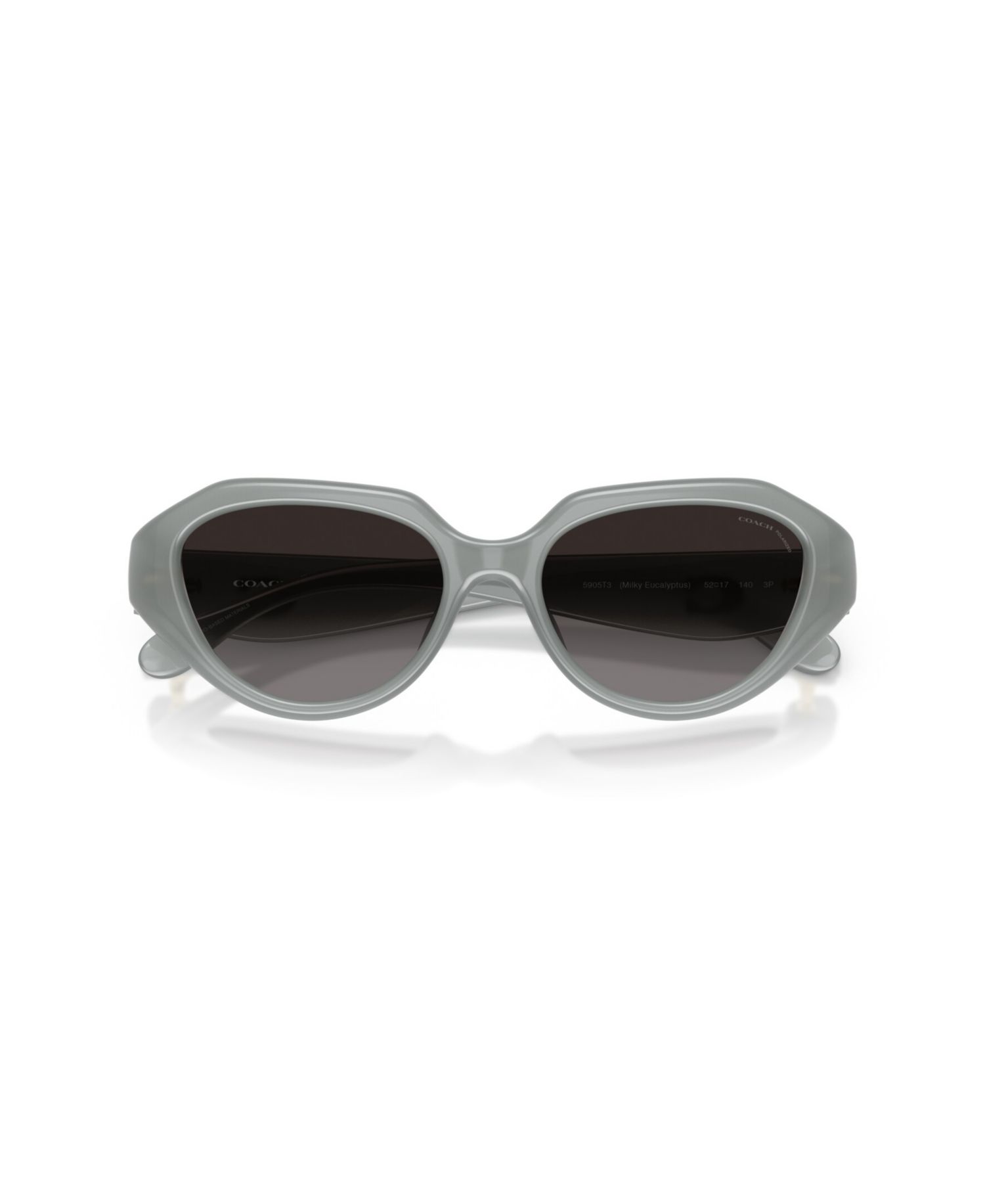 Women's Polarized Sunglasses, CBY77 HC8433U