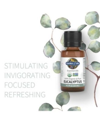 Essential Oil, Eucalyptus 0.5 Oz