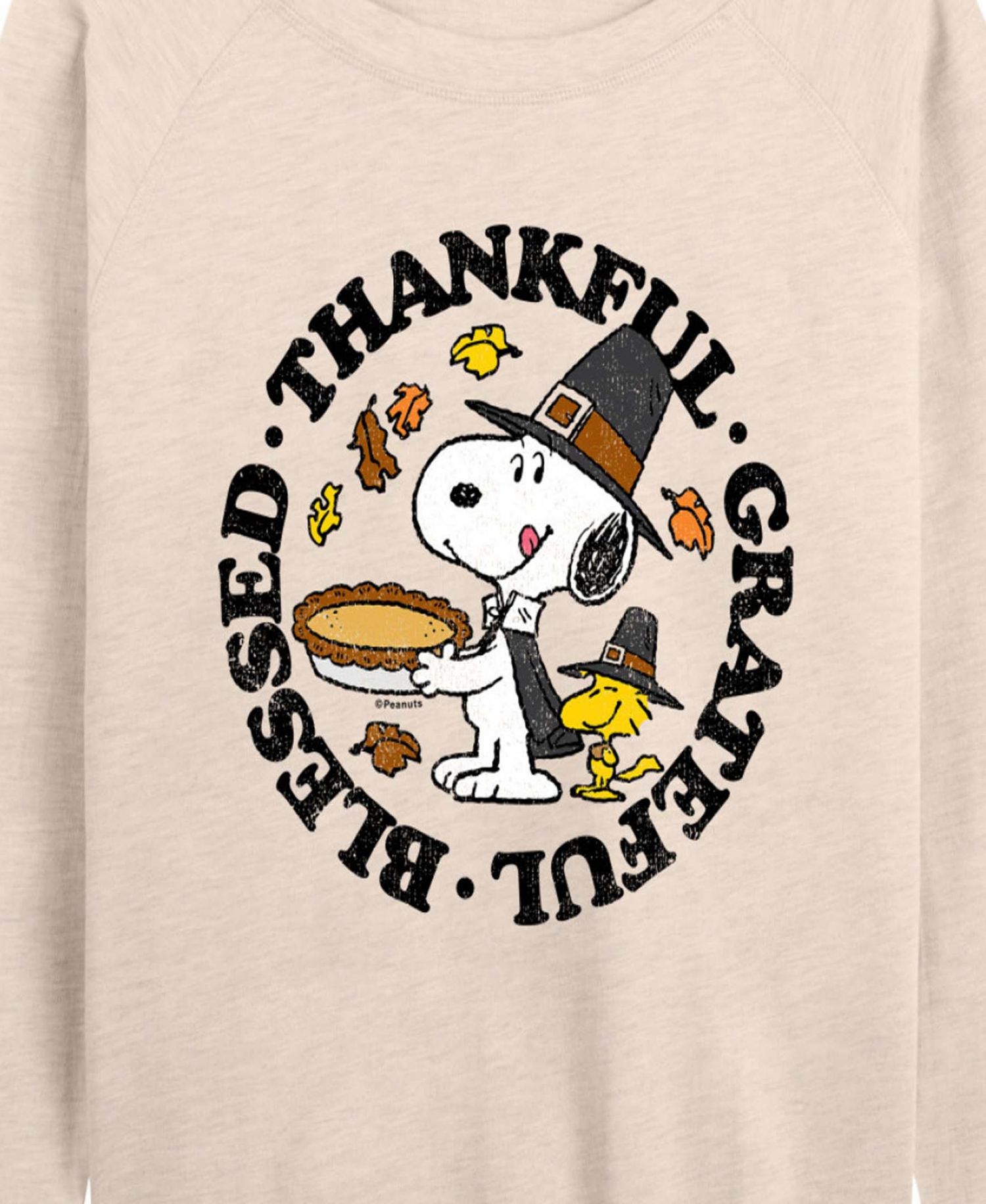 Plus Size Peanuts Thankful Graphic Pullover T-shirt