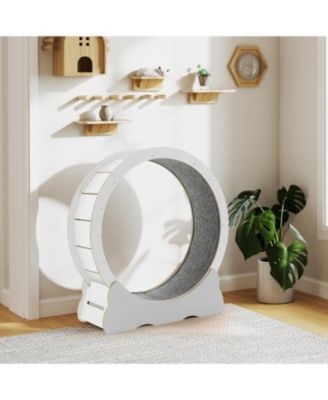 43.3'' Cat Wheel for Indoor Cats