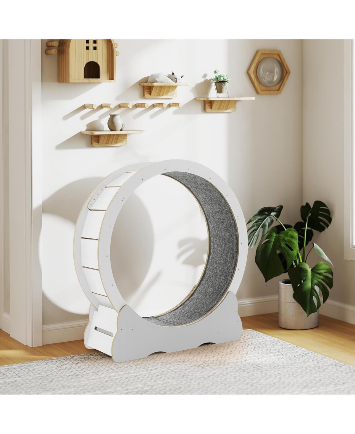 Aecojoy 43.3'' Cat Wheel for Indoor Cats