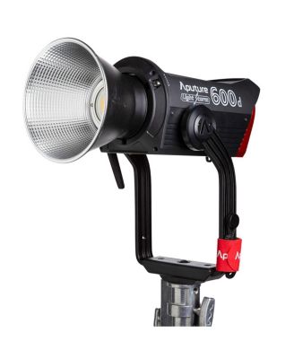 Light Storm 600D Daylight LED Light, Gold Mount