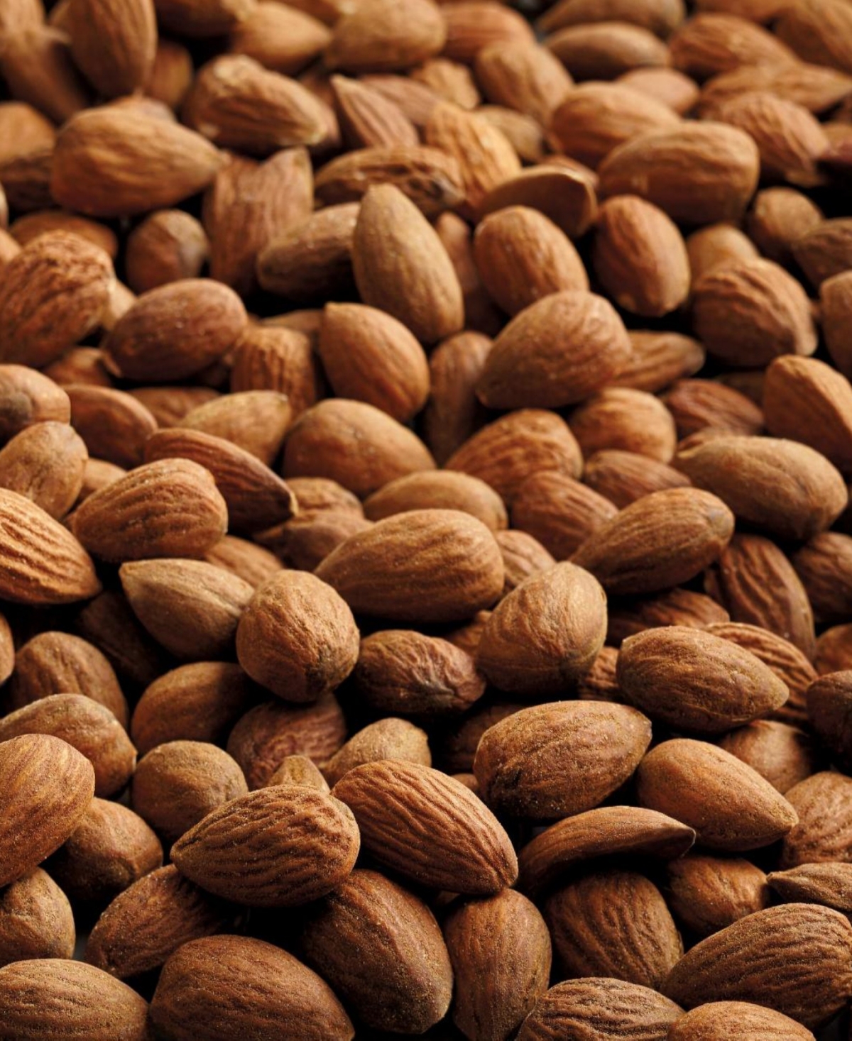 Harry & David Favorite Mixed Nuts Collection