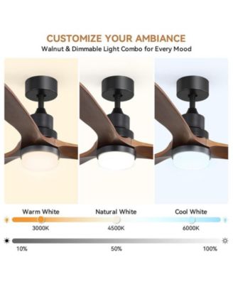 60-inch Modern Minimalist Style Black 3-Blade Ceiling Fan with Led Light and Remote Control