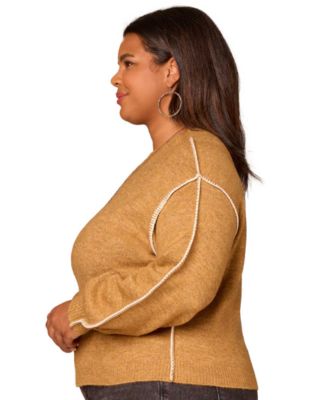 Plus Size Long Blouson Sleeve Sweater