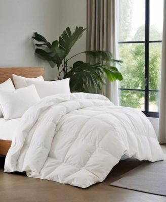 300TC Cotton Medium Warmth Goose Feather Fiber Comforter, King