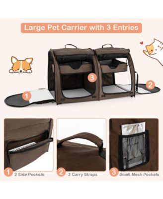 Double Compartment Pet Carrier with 2 Removable Hammocks