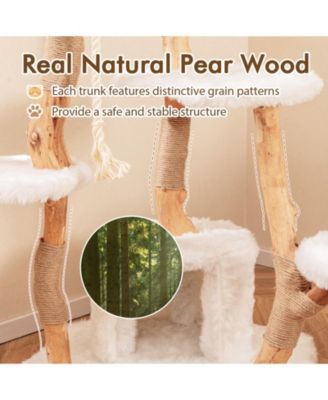 66 Inch Tall Solid Wood Cat Tree Modern Wooden Cat Tower with Perch