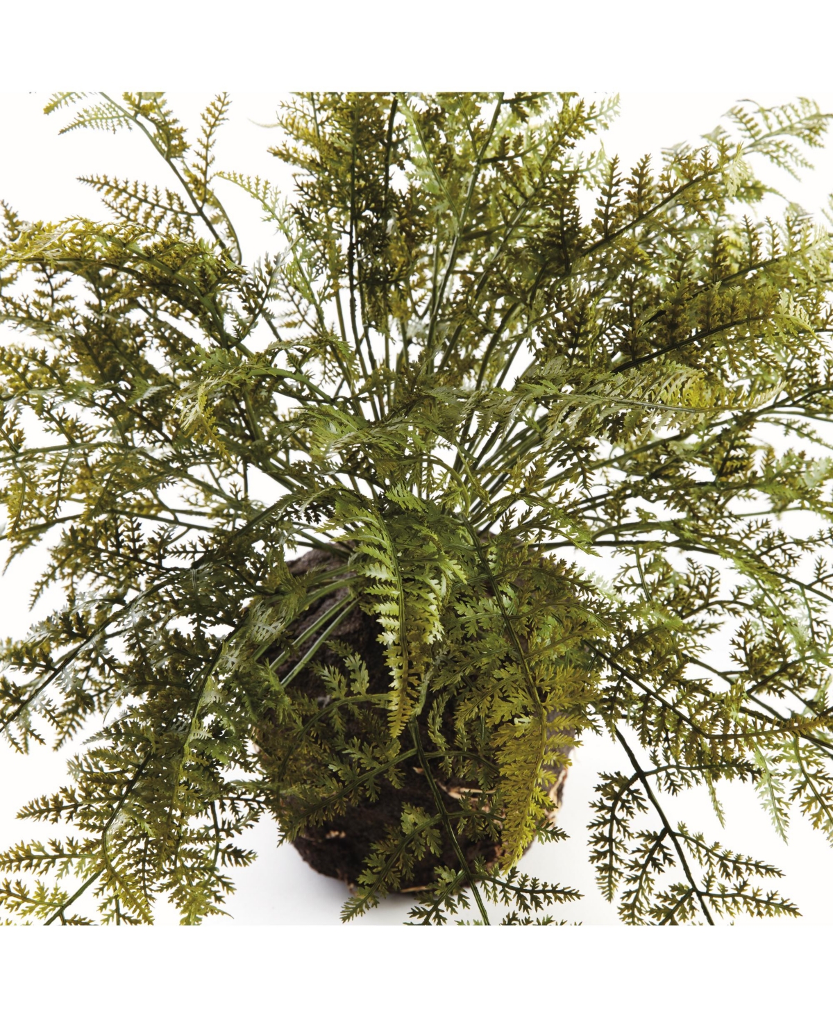 Soft Fern Drop-In 18.5"