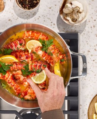 Premier Stainless Steel 6 Quart Stock Pot