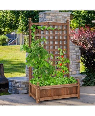 Solid Wood Weather-Resistant Outdoor Planter Box with Trellis