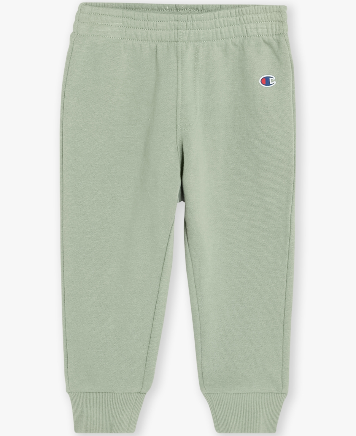 Champion Baby Boys Hoodie and Joggers, 2-Piece Set