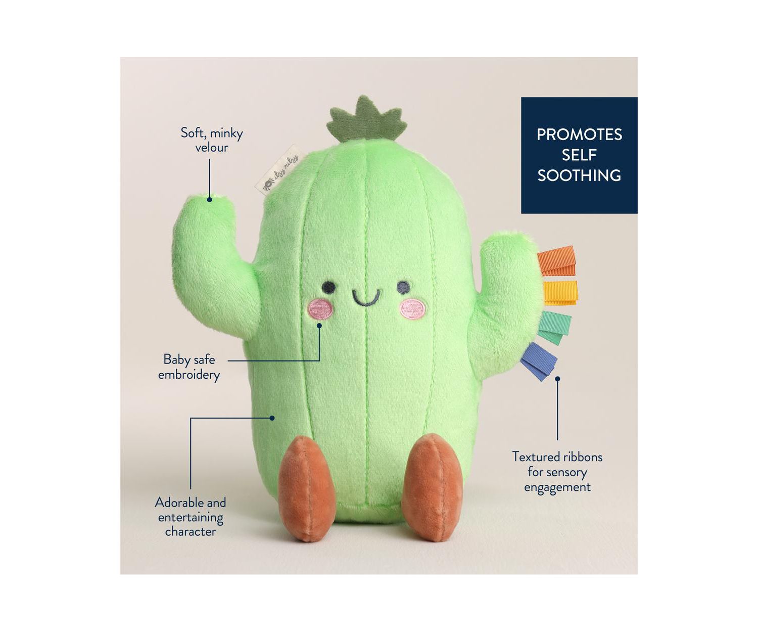 Baby Sweetie Snuggles Cactus