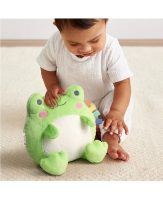 Baby Sweetie Snuggles Frog