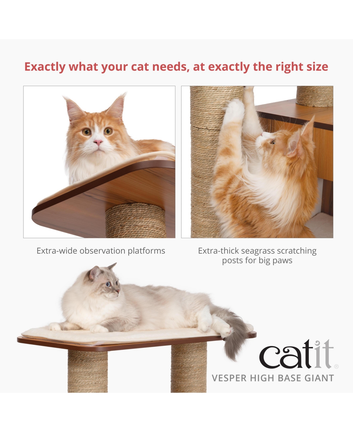 Catit Vesper High Base Giant, Walnut