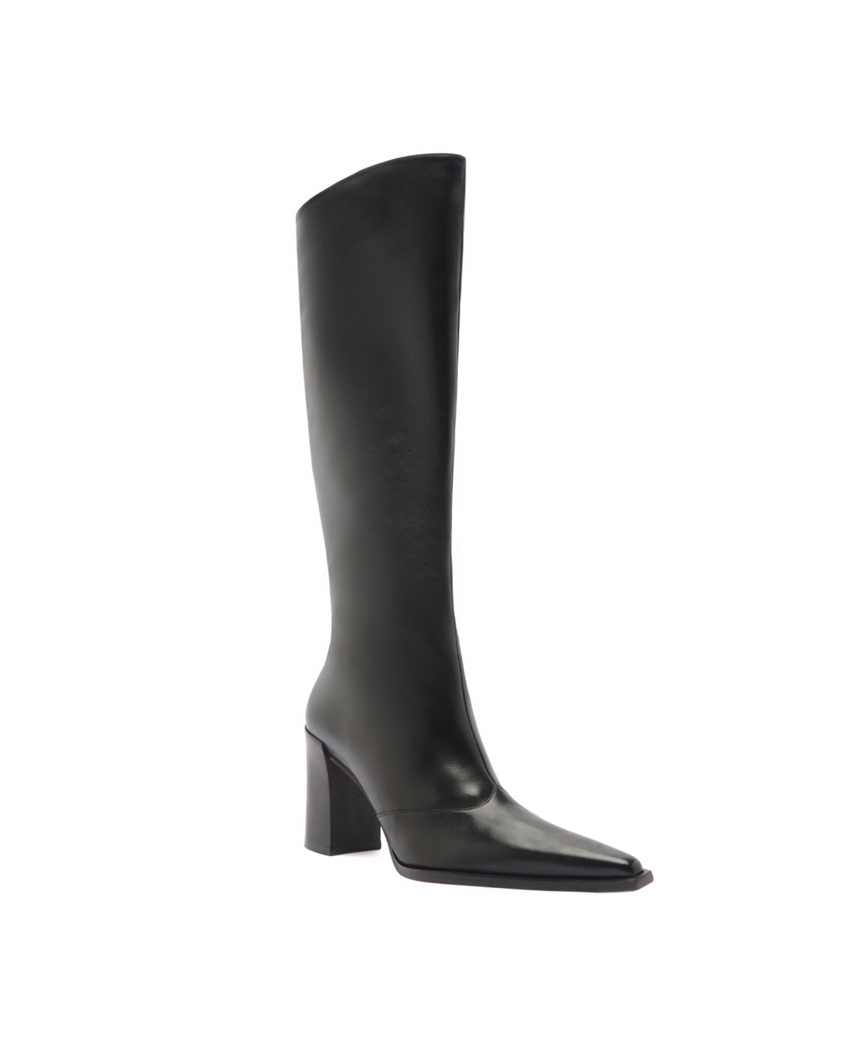 Schutz Women's Raffaela Up Pointed Toe Dress Boots