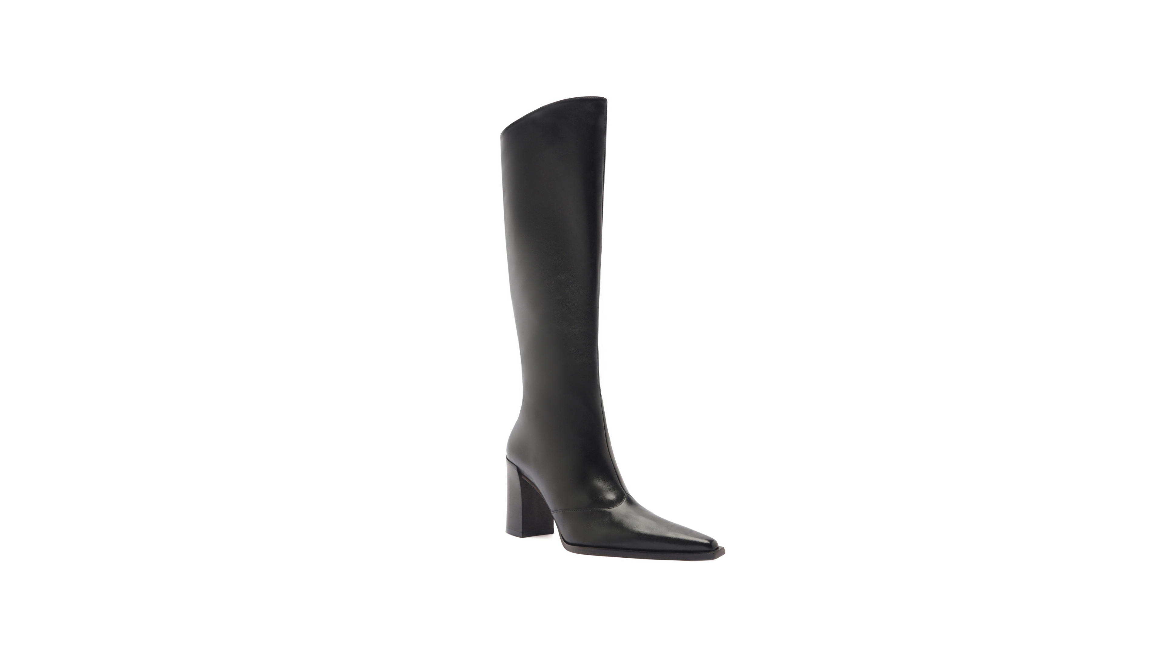 Schutz Women's Raffaela Up Pointed Toe Dress Boots