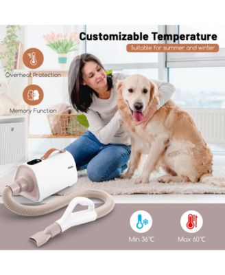 Dog Cat Hair Blower with Negative Ion Function and Adjustable Temperature
