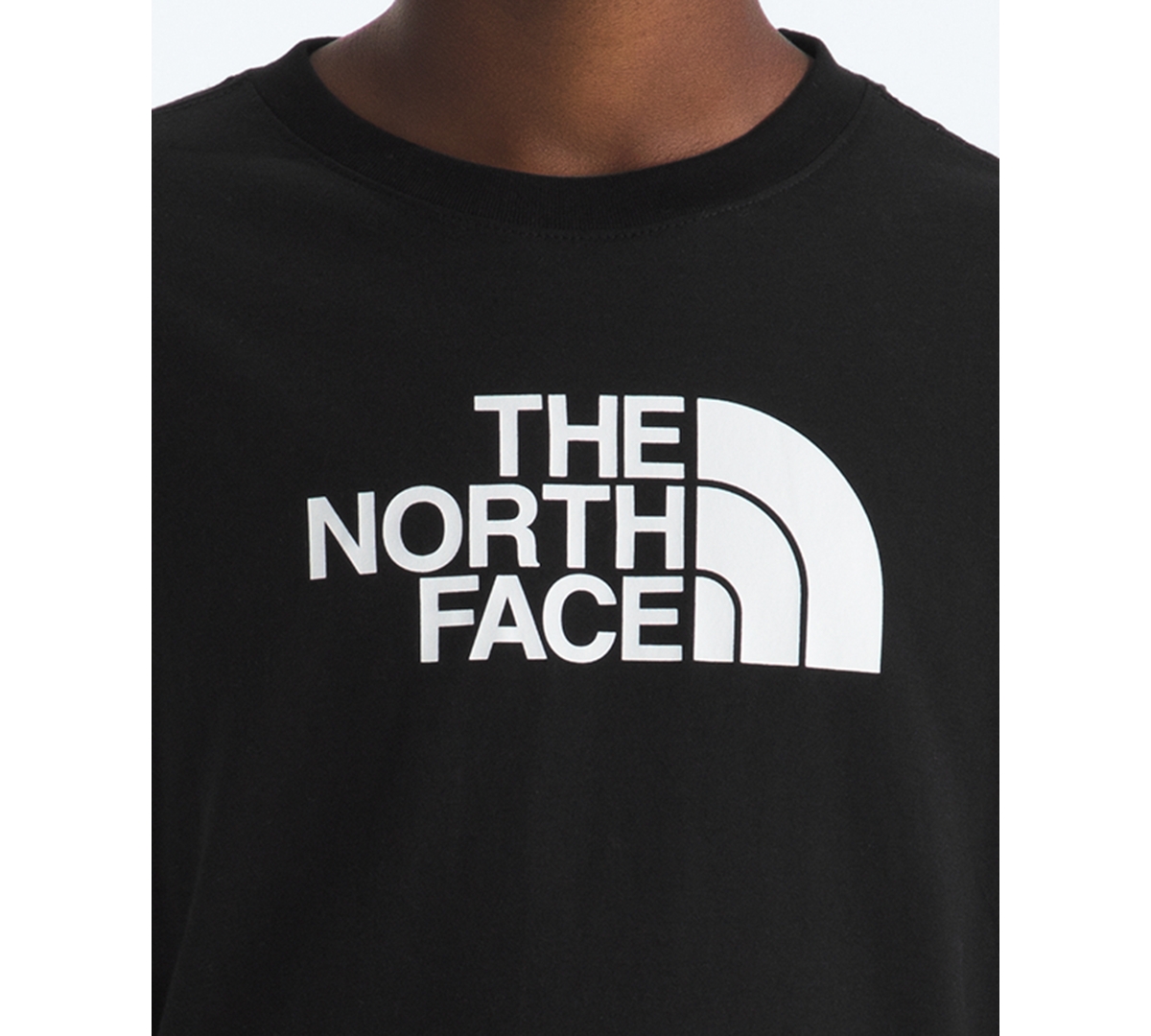 The North Face Boys Or Girls 6-20 Graphic Printed Long-sleeve T-shirt In Black