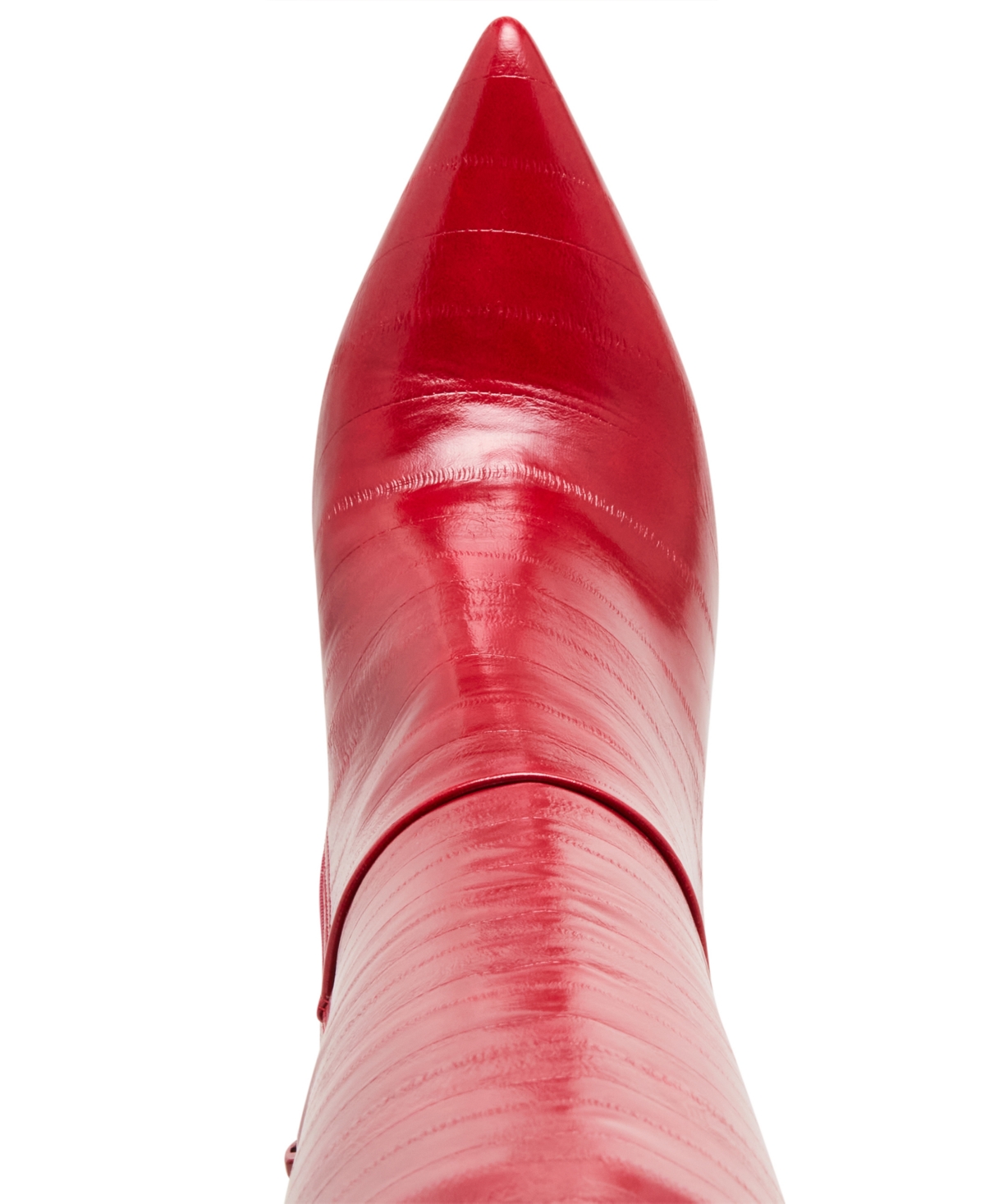 Steve Madden Nitro Knee High Boot In Red