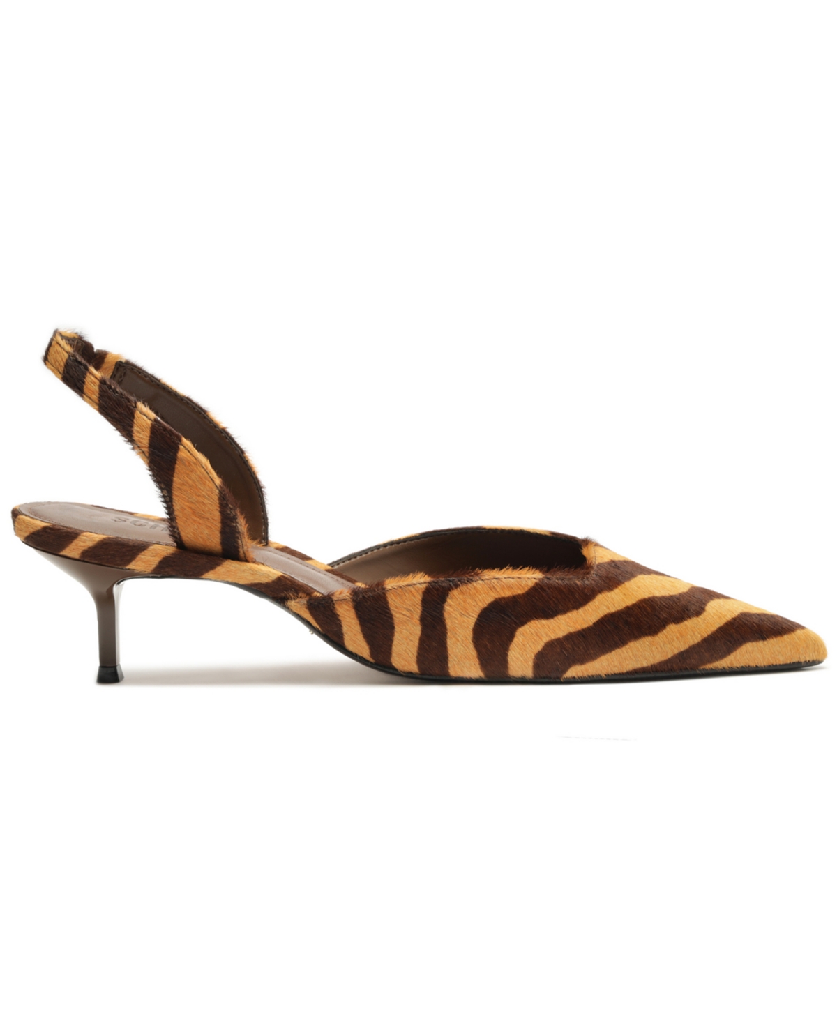 Schutz Women Paola Mid Pointed Heel Pumps In Animal Print