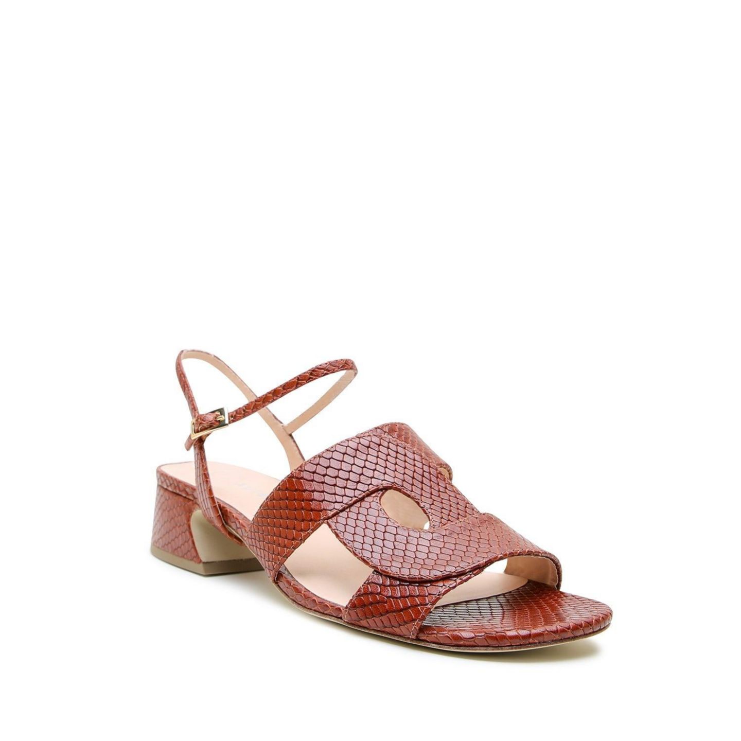 Женские сандалии Alterre Snake Amal Customizable, цвет: Коричневый змеиный — фото 1