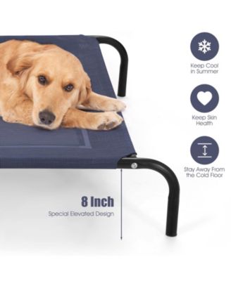 Large Indoor Outdoor Camping Steel Frame Elevated Pet Cot Mat