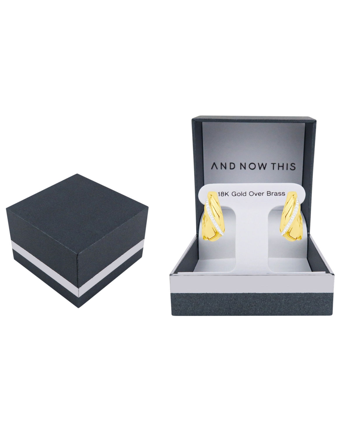 And Now This Crystal Hinged Hoop Earrings