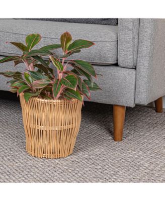 Small Reed Willow Waste Basket