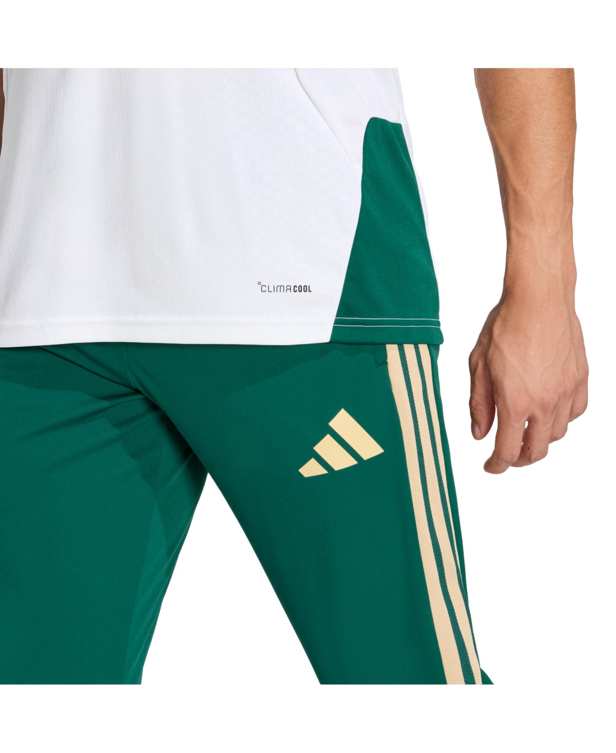 Adidas Men's Green Italy National Team Fifa x World Cup 2026 Tiro Training Pants