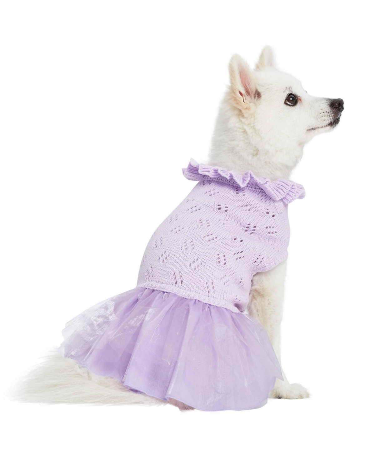 Blueberry Pet My Cutie Princess Ruffle Collar with Layered Tulle Dog Sweater Dress