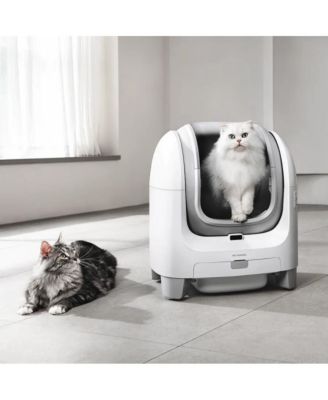 Open-Top Smart Cat Litter Box C1