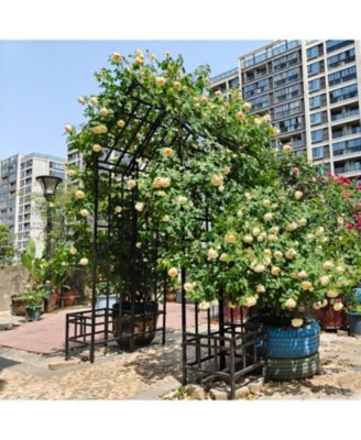 Metal Garden Arch Adjustable Width Black