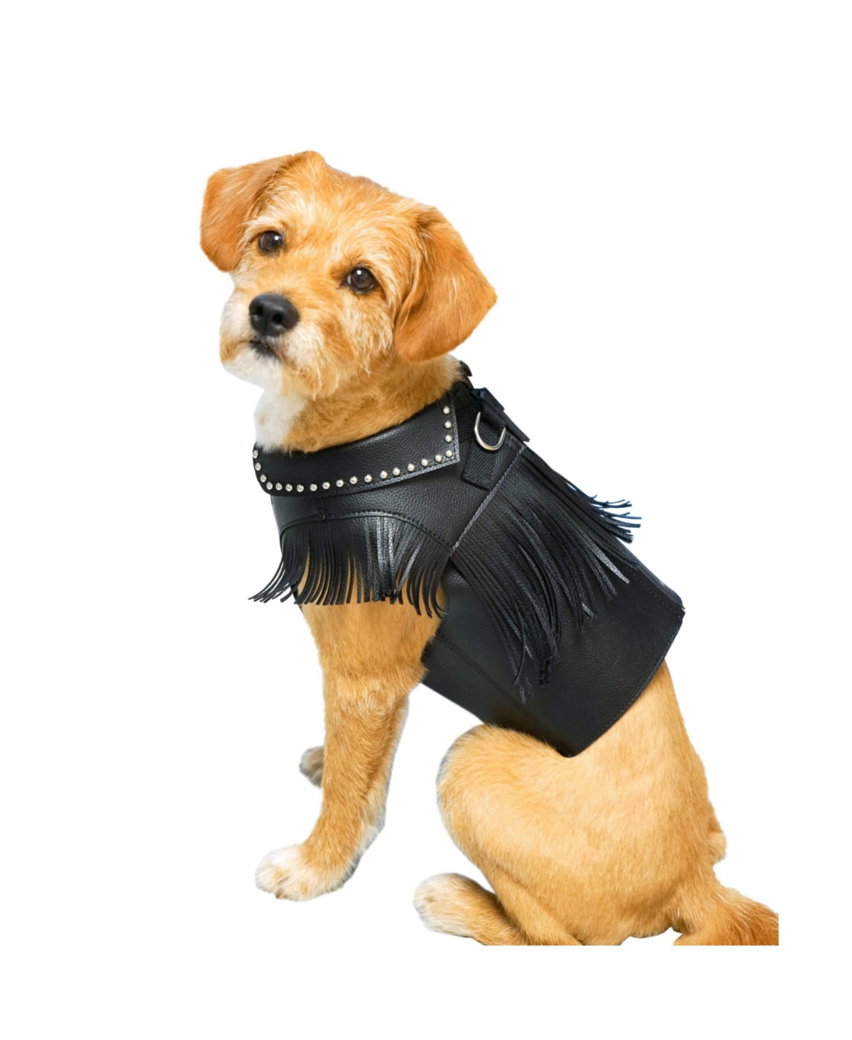 Blueberry Pet Silver-Powered Freshness Microfiber Leather Dog Harness Jacket