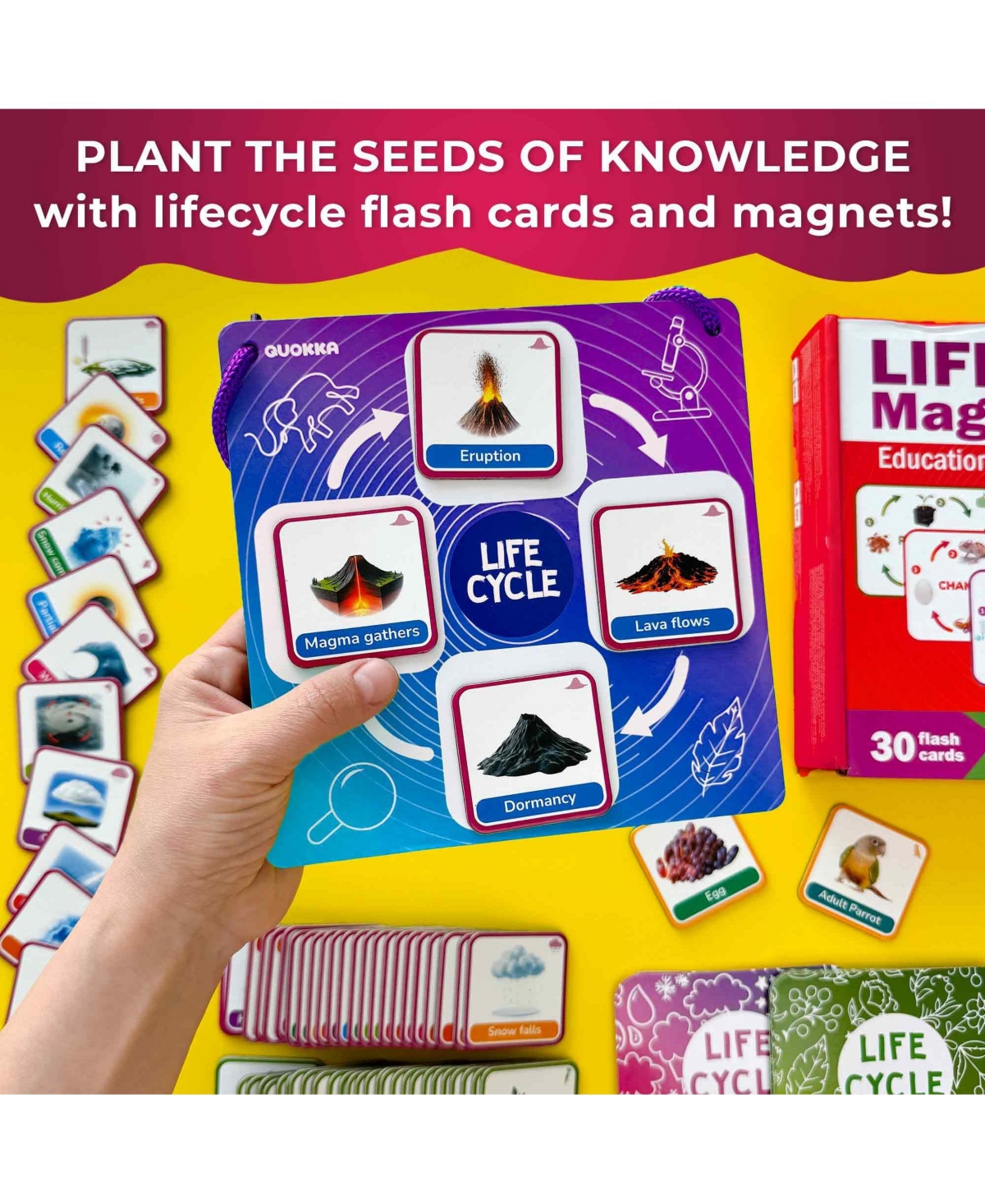 Quokka Life CycleToys for Kids - 30 Flashcards Toddler Science Kit Ages 2-4 - 120 Magnetic Flash Cards