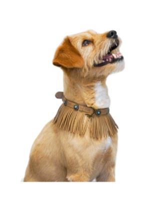 Blueberry Pet Silver-Powered Freshness Microfiber Suede Dog Collar in Camel Tan – Fringed Style with Turquoise Studs