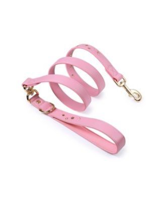 Silver-Powered Freshness Microfiber Suede Dog Collar – Embossed Classic Pattern with Bronze Studs