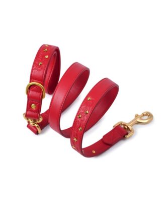 Silver-Powered Freshness Microfiber Suede Dog Collar – Embossed Classic Pattern with Bronze Studs