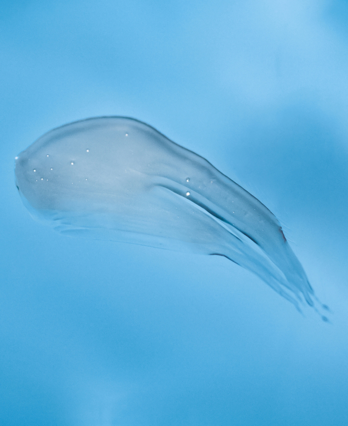 R+Co Atlantis Moisturizing Shampoo, 8.5 oz.