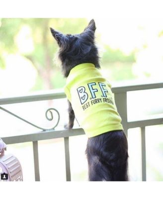 Parisian Pet Best Furry Friend