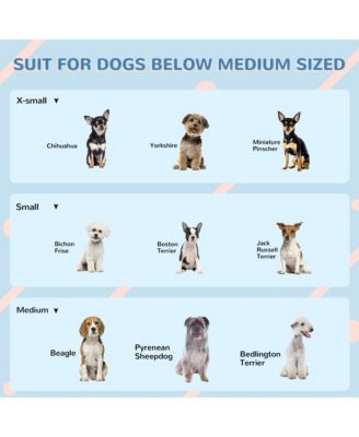 Plastic Dog House W/ Door, Easy to Assemble, for M and S Dogs