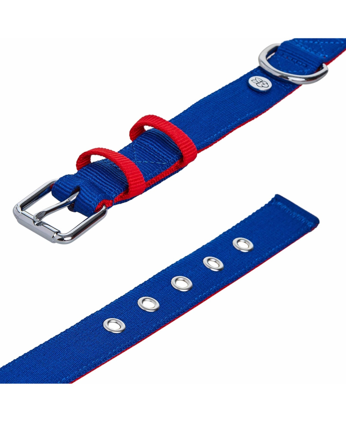 Blueberry Pet Color-Block with Metal Buckle Dog Collar Sky Blue and Dark Green Neck 13"-16.5" Medium