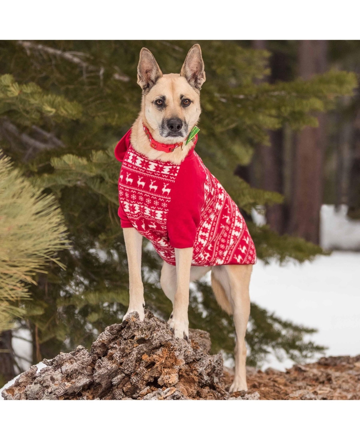 Blueberry Pet Christmas Holiday Reindeer & Snowflake Dog Apparel
