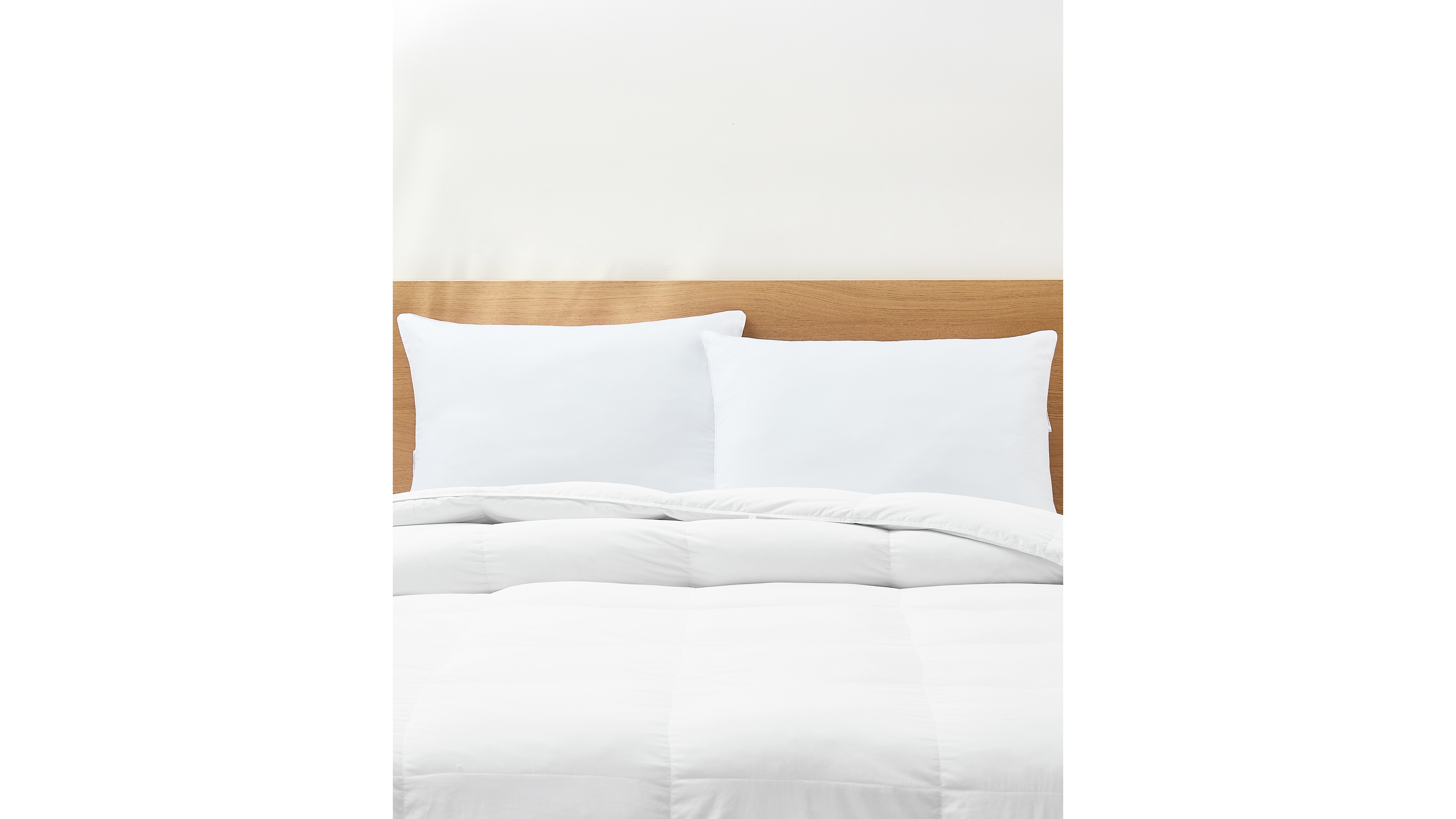 Tommy Bahama Home Soft Microfiber 2-Pack Pillow, Jumbo